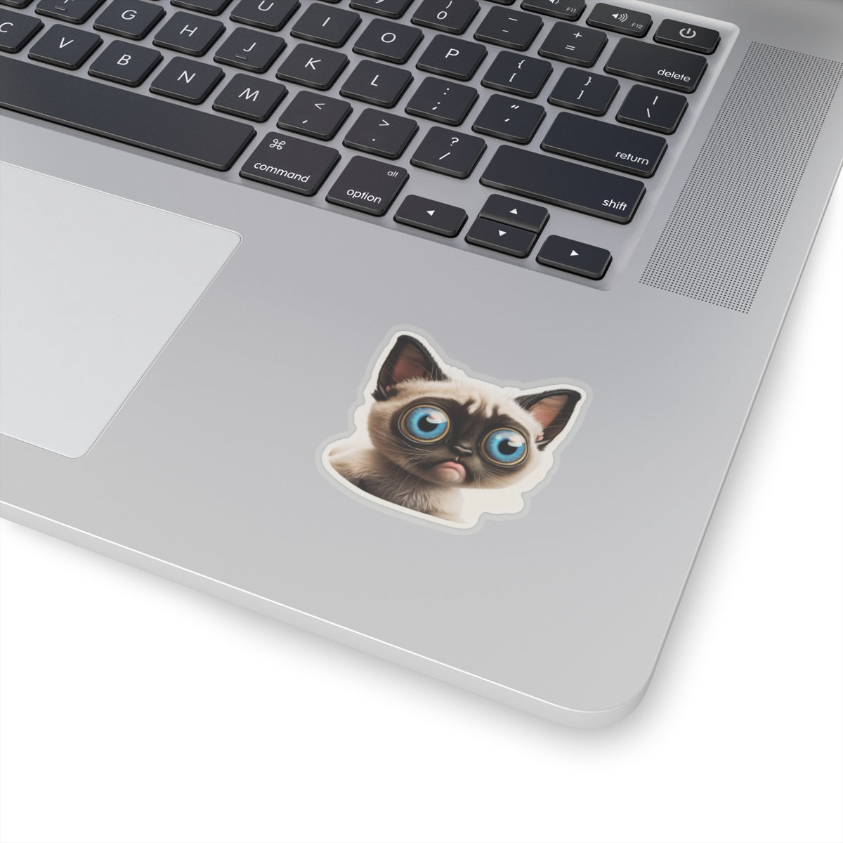 Kiss-Cut Sticker of cute funny cat kitten  for your collection