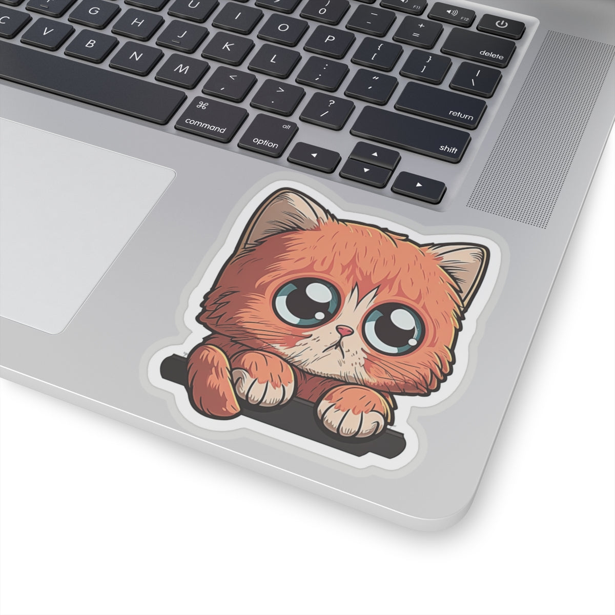 Kiss-Cut Sticker of cute funny cat kitten  for your collection