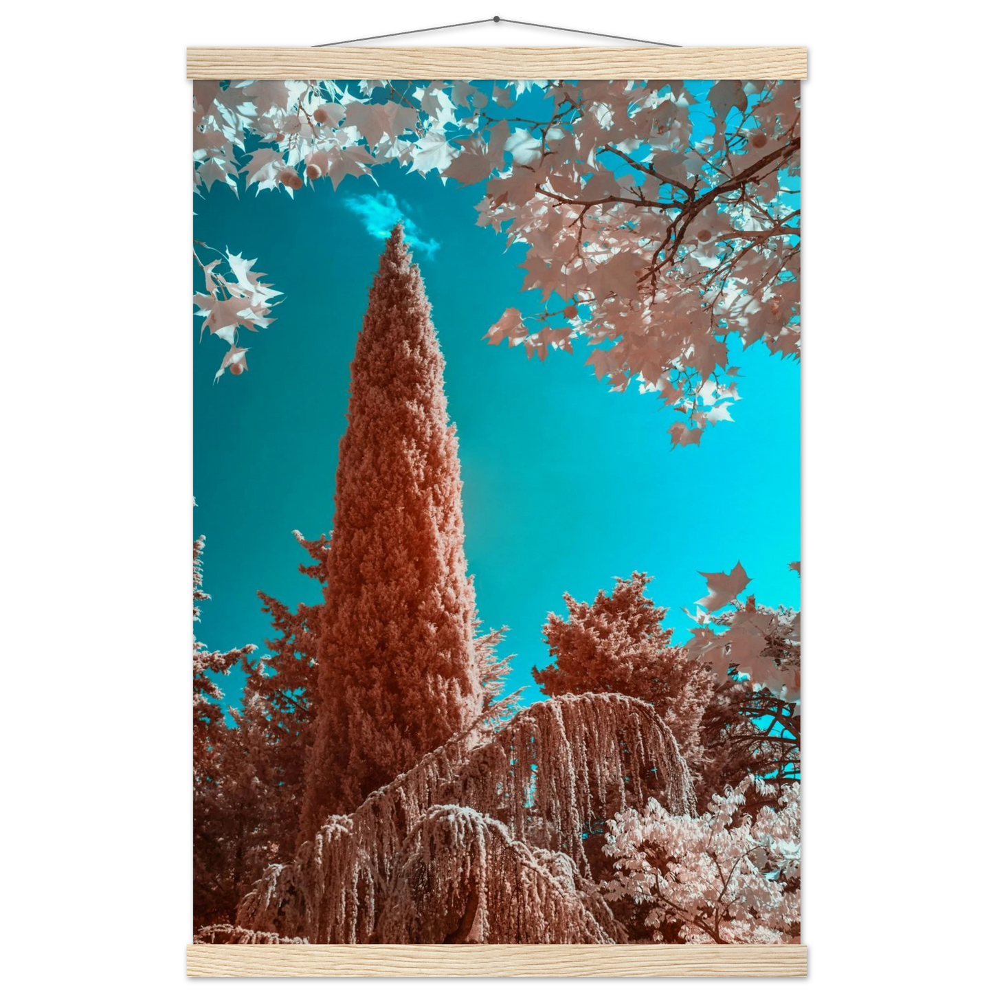 95766ad7-d907-4235-a326-450a93de24cc