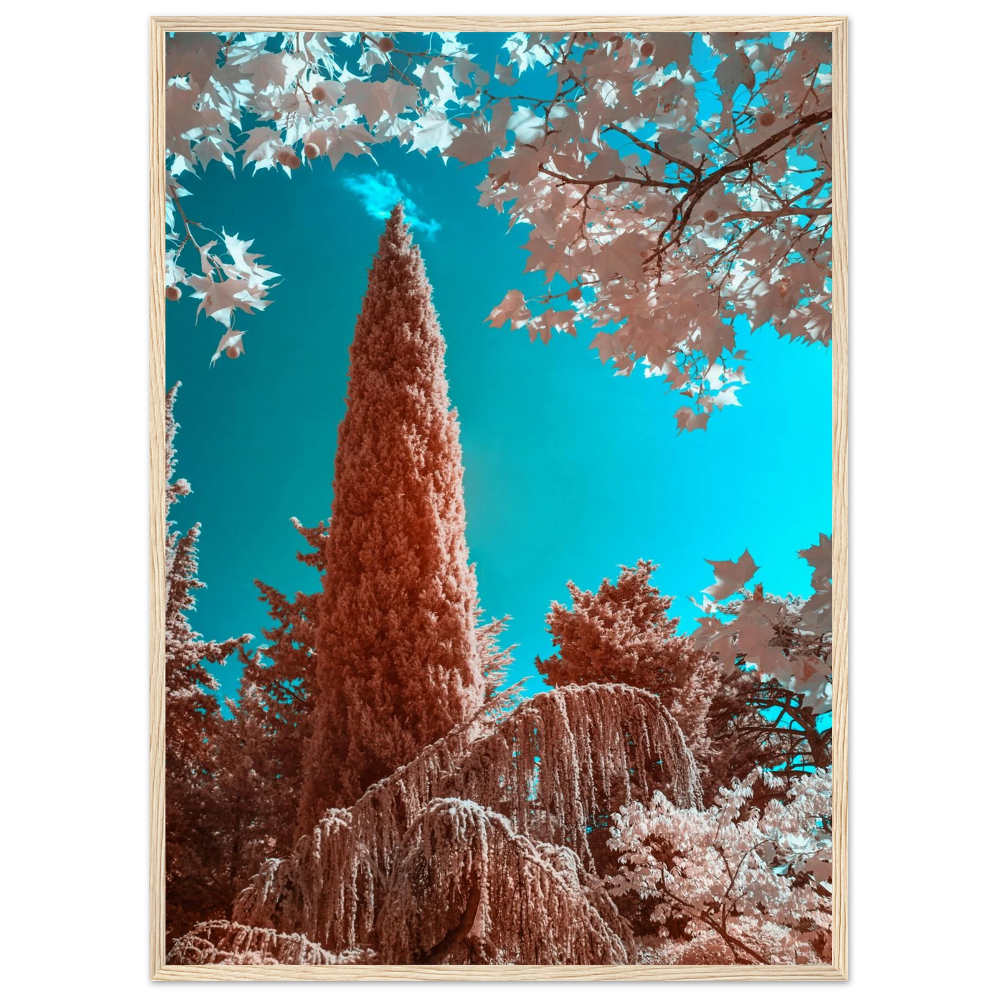 95a921c1-72ad-416d-bb14-8b6238a7c722