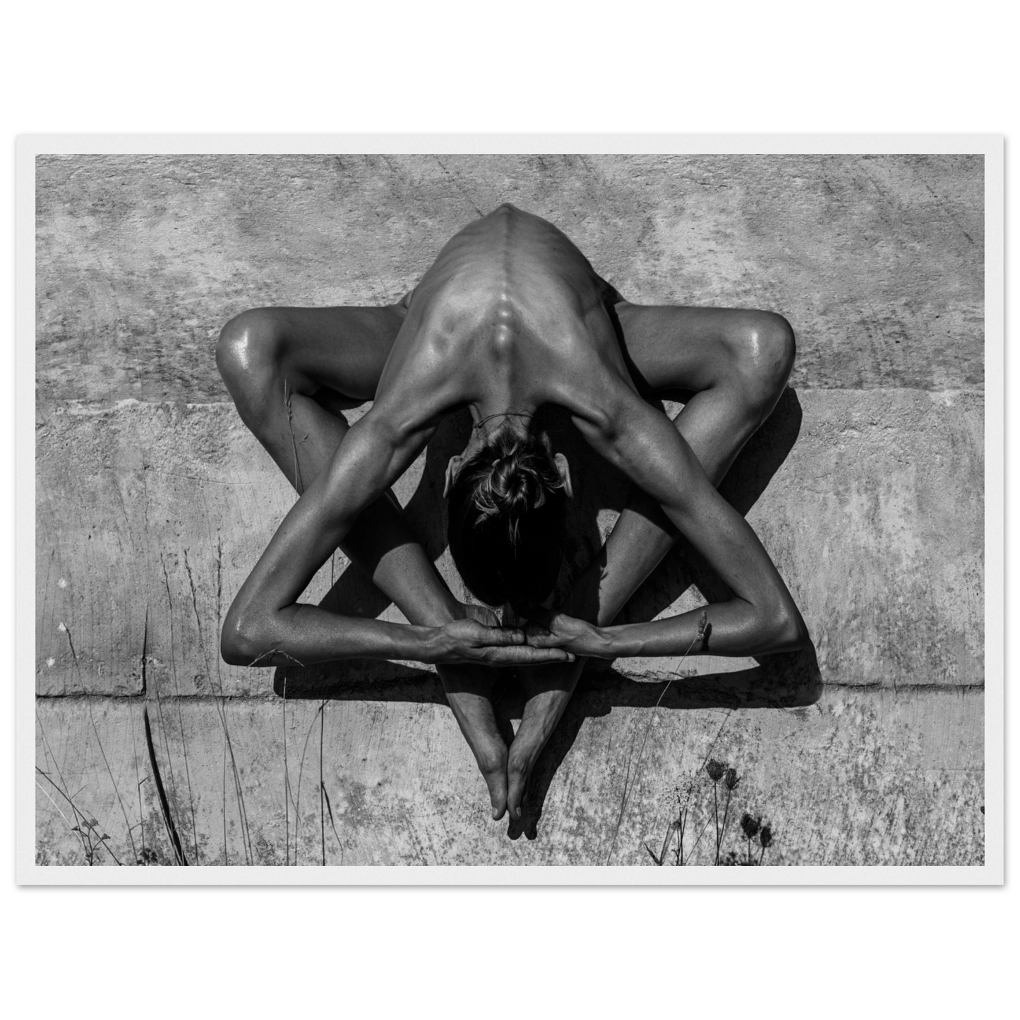 9644108d-5d21-40df-a5d0-791025071c59