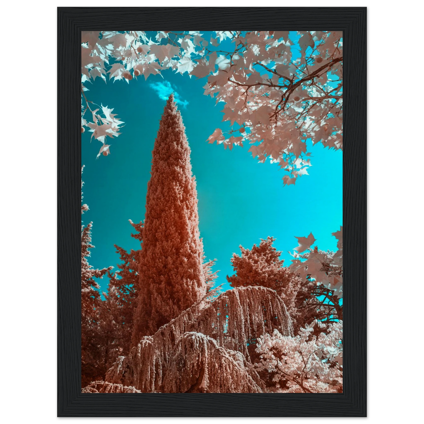 964d1a3d-e342-4f81-9c19-f5ccc5556c4a