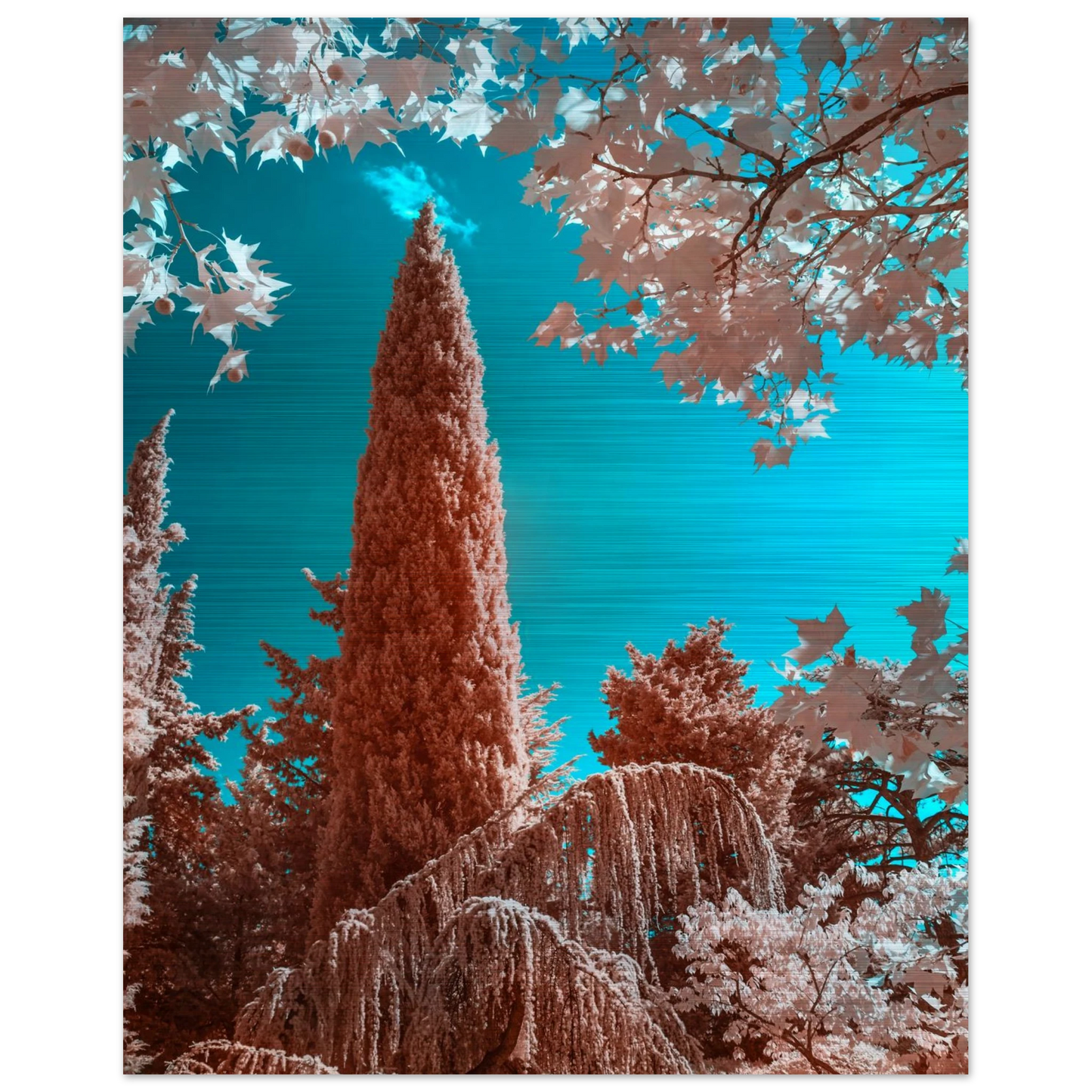 966d7247-3b15-4828-bdde-e669d370a9ec