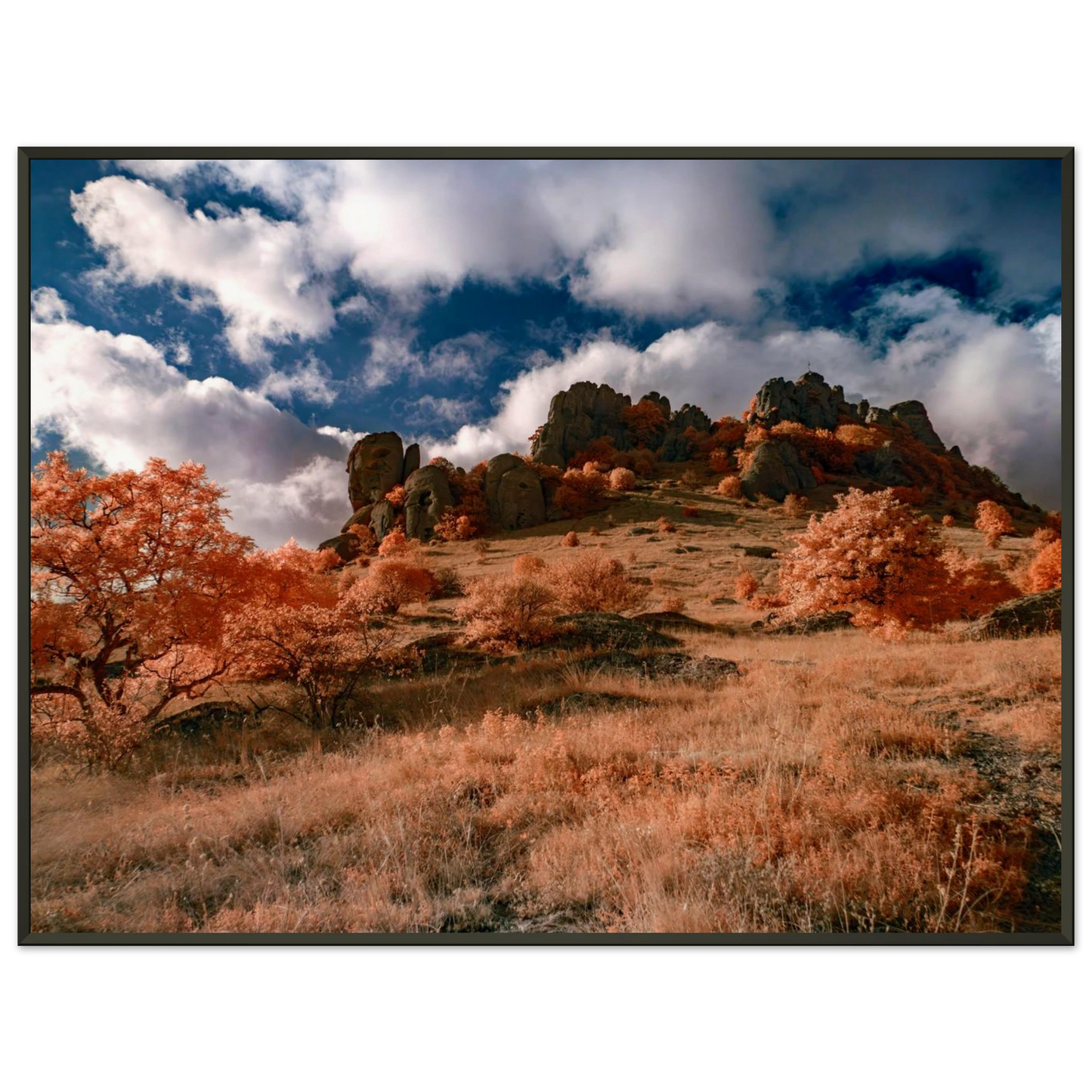 96c258ca-f646-4a6a-aca9-138603ff0952