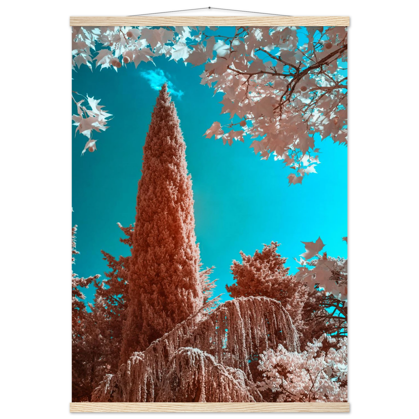 96c30726-0455-49f5-ad61-68e44c2fc4aa