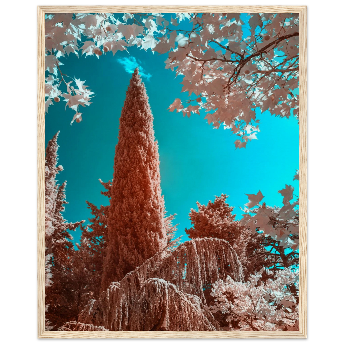 96ed0451-2f29-4dfd-a08d-b58c3bd29034