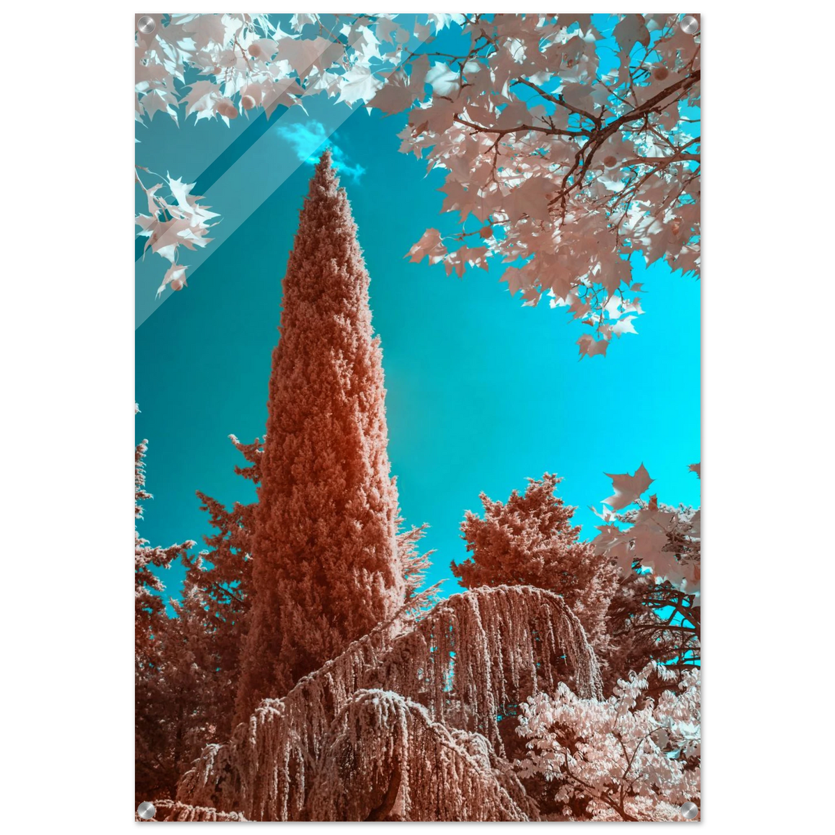 9763494b-5d13-4031-a903-db542552d005