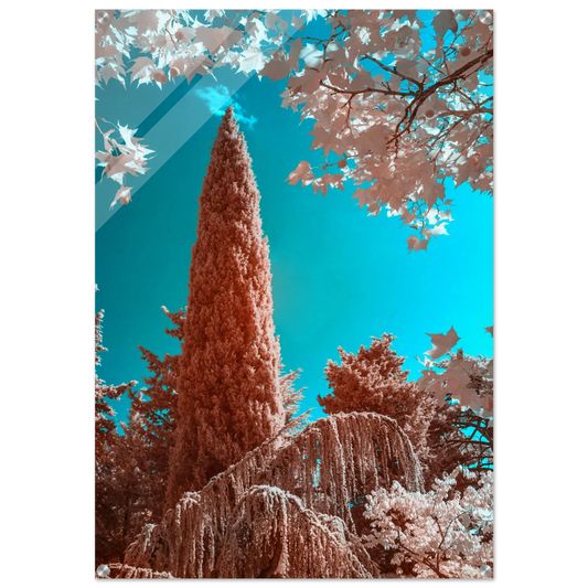 9763494b-5d13-4031-a903-db542552d005