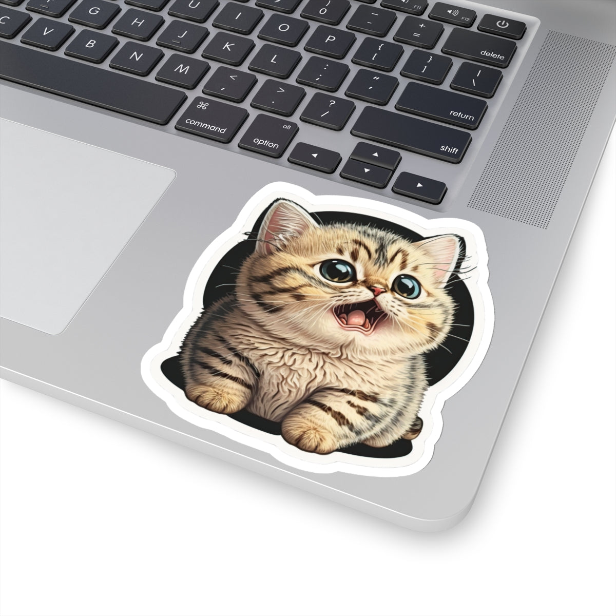 Kiss-Cut Sticker of cute funny burmilla cat kitten  for your collection