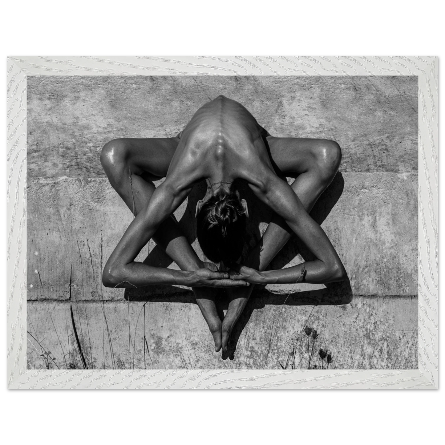 98829097-513b-4150-b388-b844d011117a