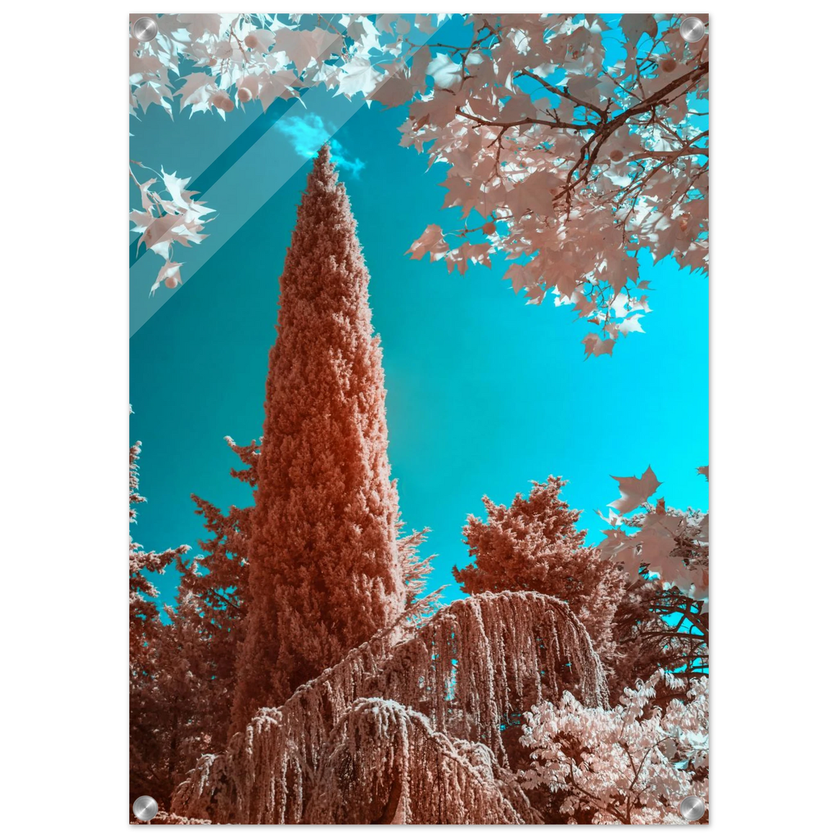 98f7693e-fdd7-49de-888d-f21b049ef477