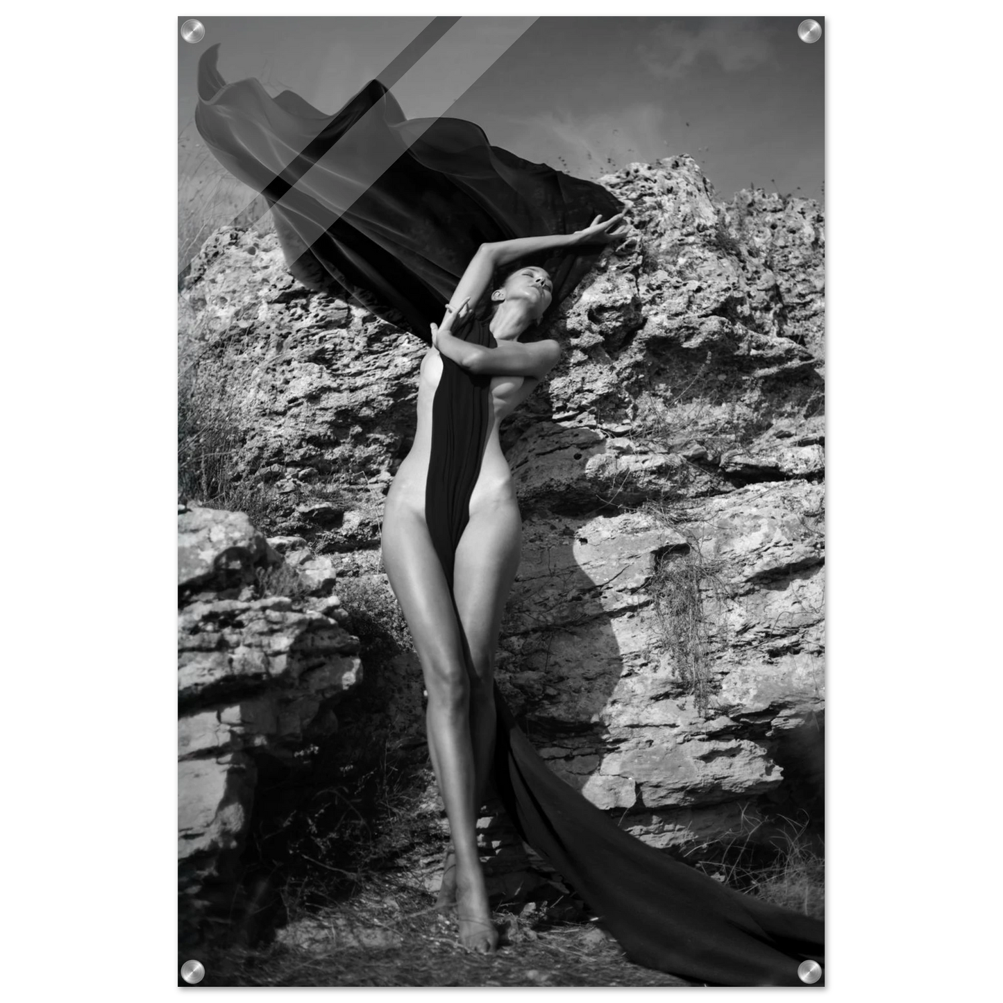 99da0d92-0118-4c98-80bc-97c3455d6822