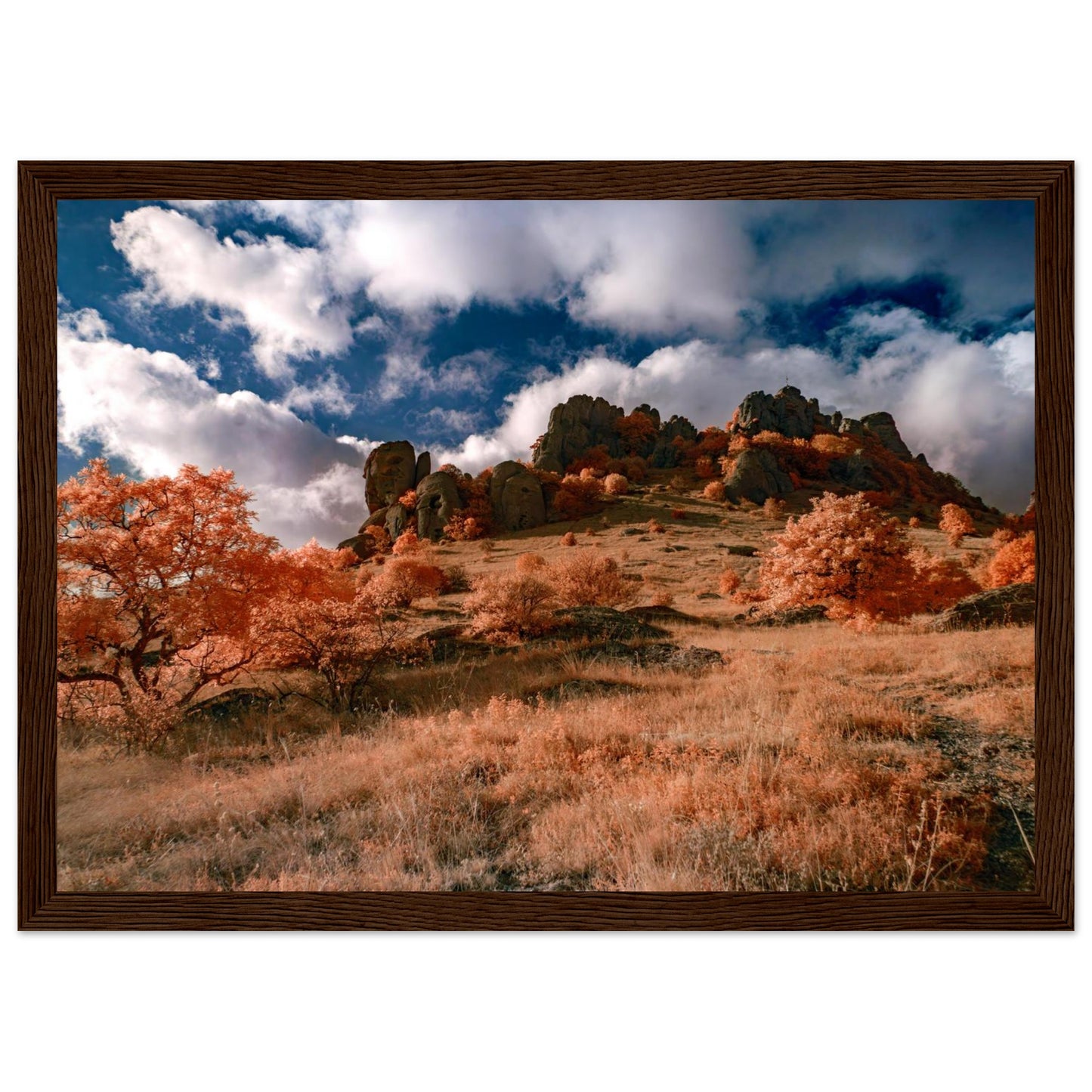9b68332f-3d5f-4622-a554-d7a4e7bf19d3