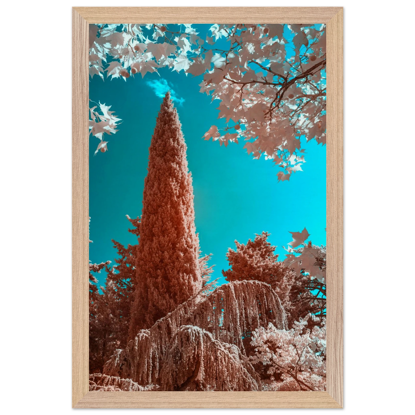 9bd2361f-d2bd-4714-a5ee-c1c36c5c1f1e