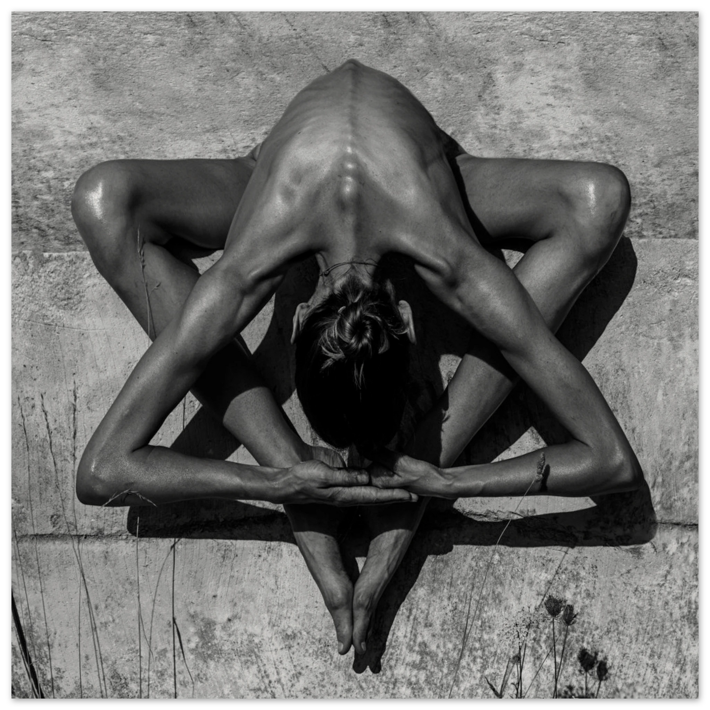 9bfea6fe-e585-4954-a2e2-69026207e1b3