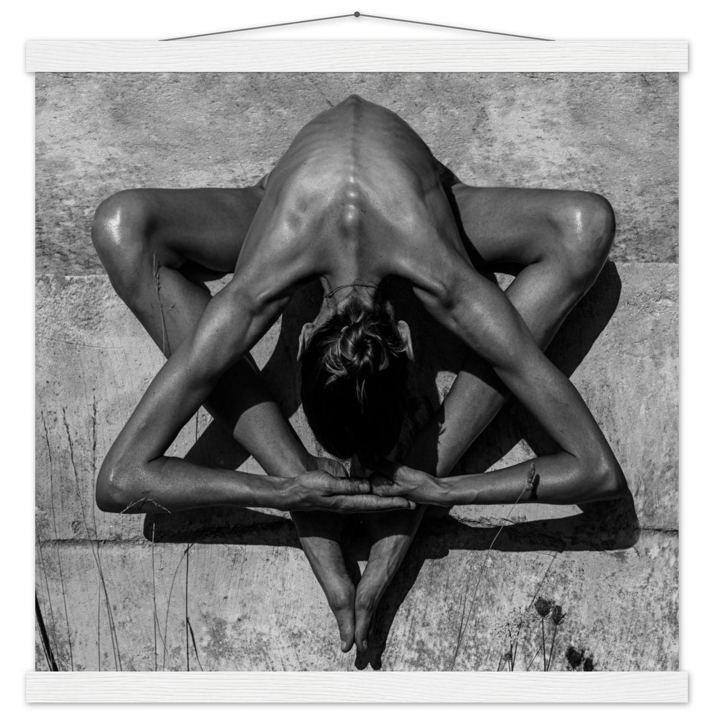 9ce68016-02d8-4db9-8f51-d6315fac15da