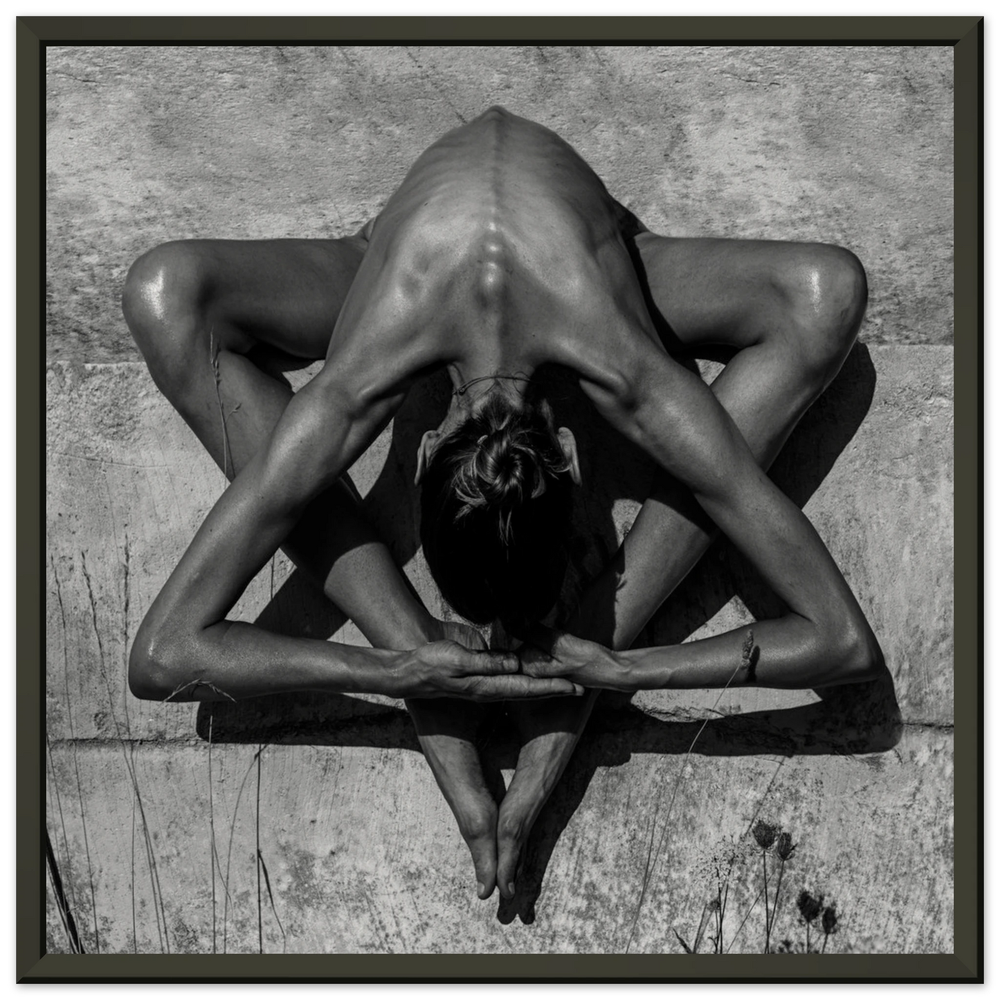 9e96592a-de47-41cd-adc2-33087fb6aec1