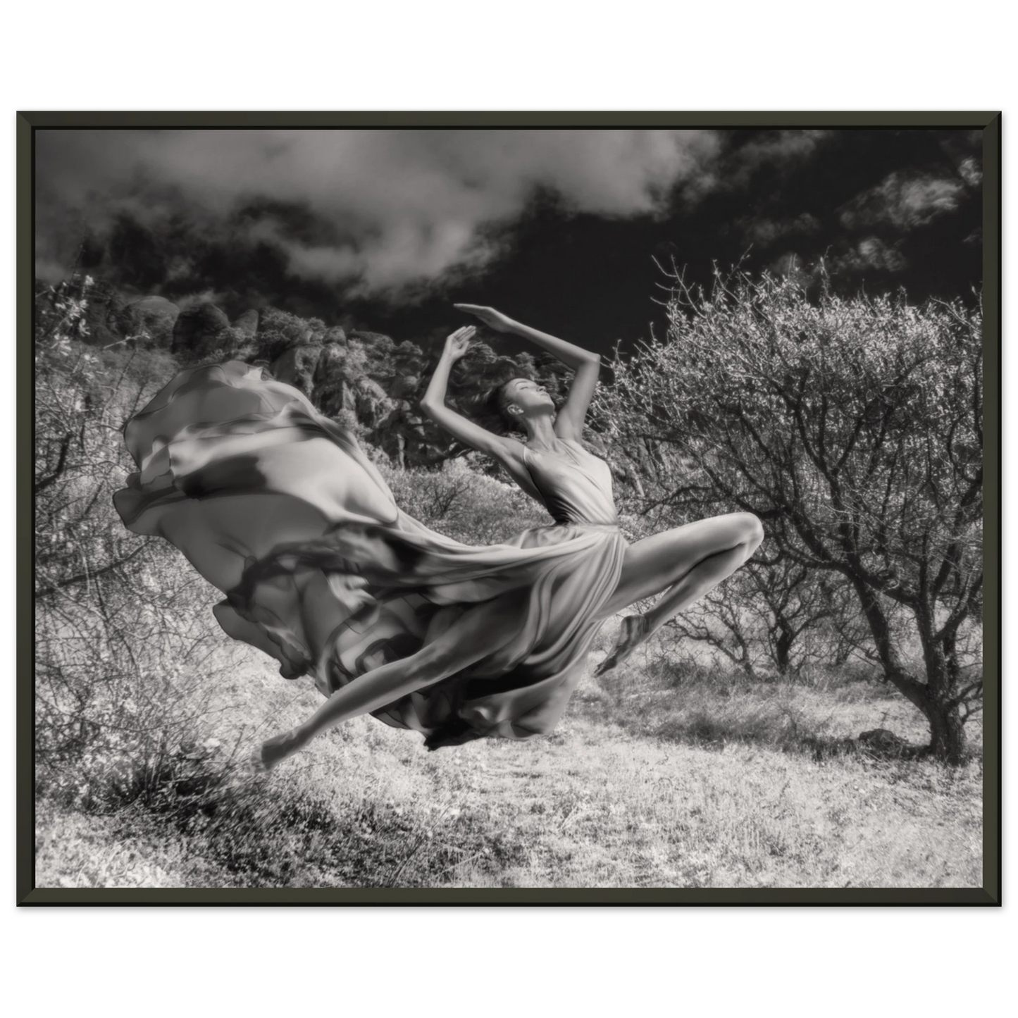 9e976eae-02ef-40db-9bd4-0aa2379eb3d0