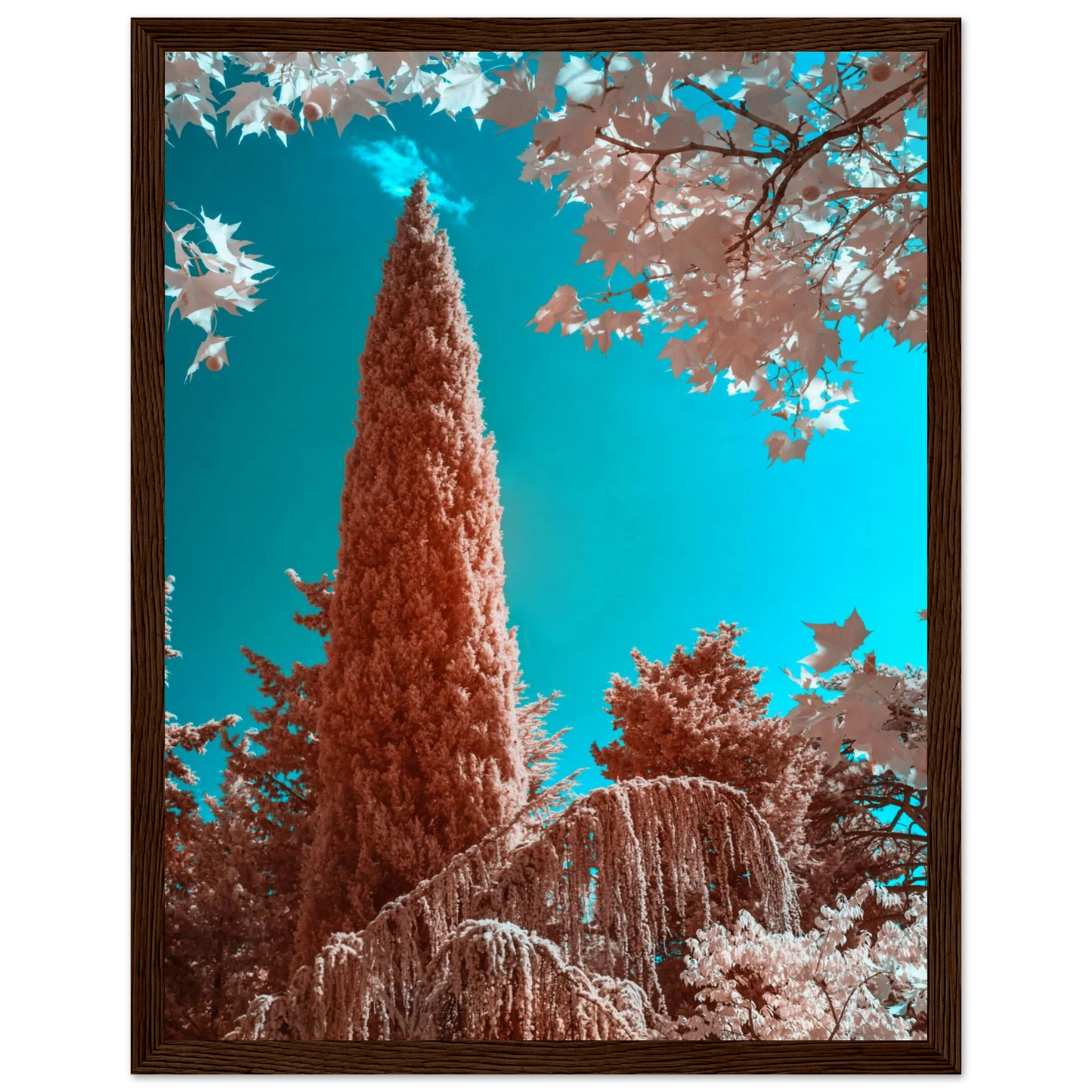9ef37d70-17ba-4e06-be4f-53267c4a9060