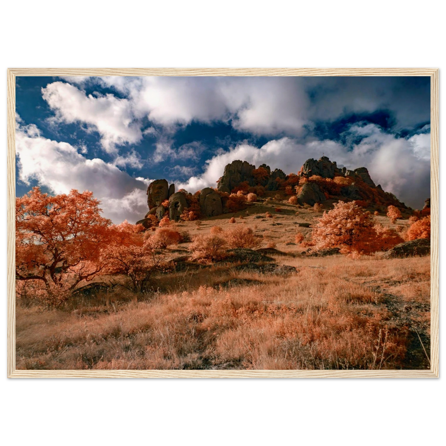 9f0ae75e-a1ee-44a6-9e8d-92034bca2b1a