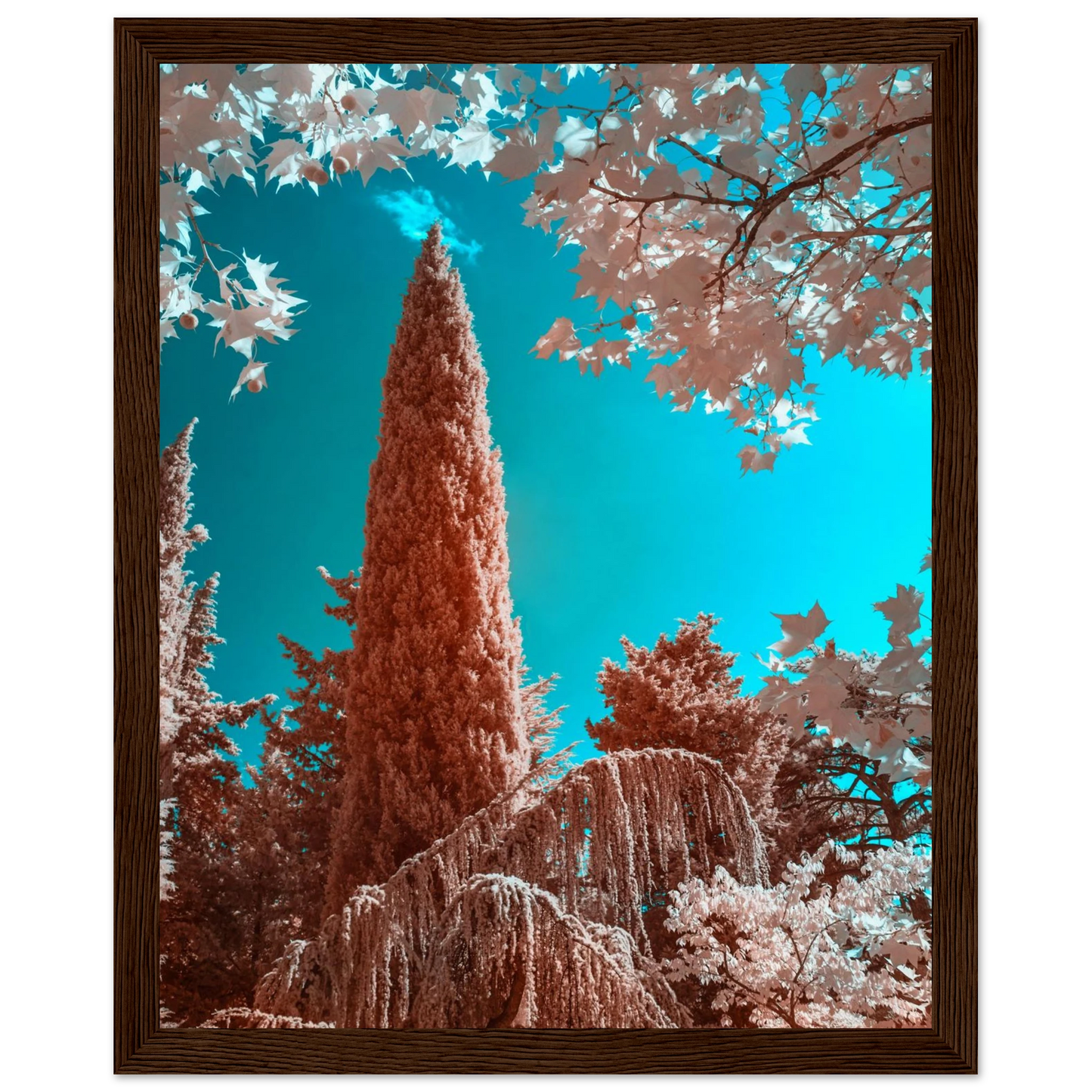 9f581729-4062-408d-a579-23d89ffdec9a