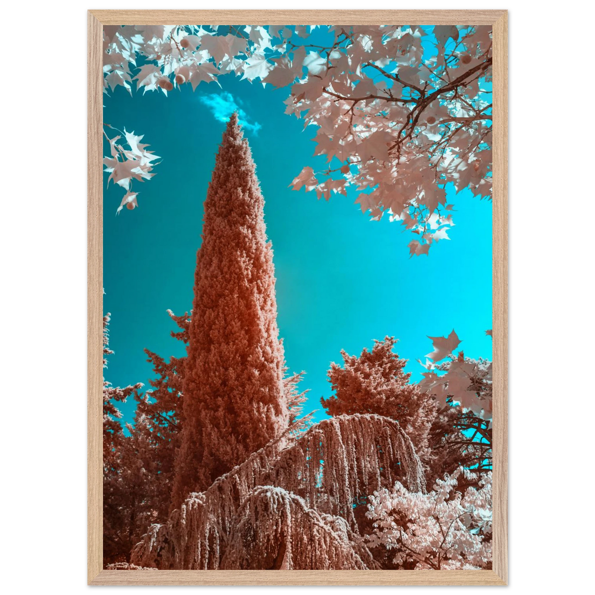 a0b438bf-3e4e-44e0-ae80-b51e2b636c3e