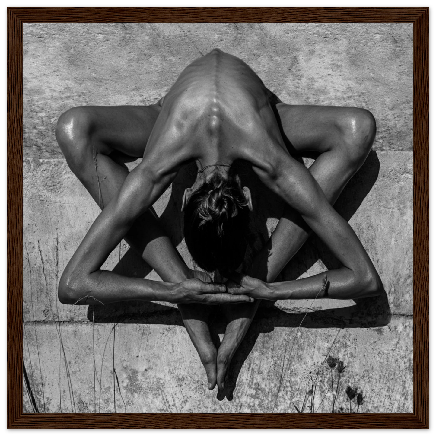 a0d740c5-e2b2-4363-a679-d7602eacb18b