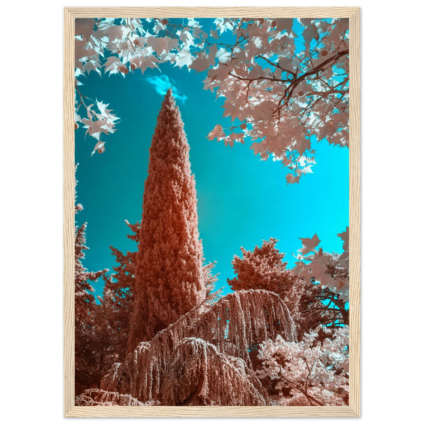 a150f828-c254-4935-9557-e0812efd7465