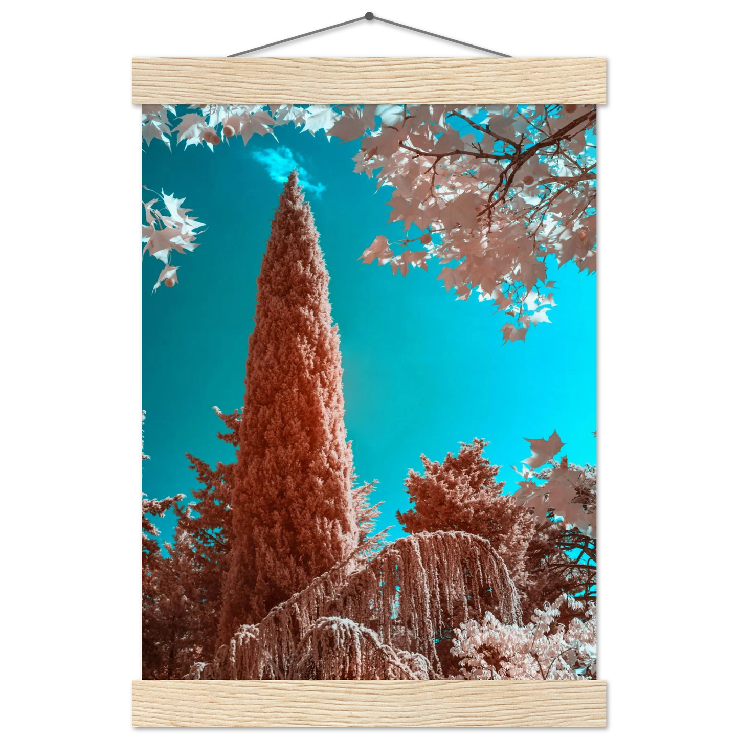 a2547424-e778-40f7-98e6-59c3b41616fa