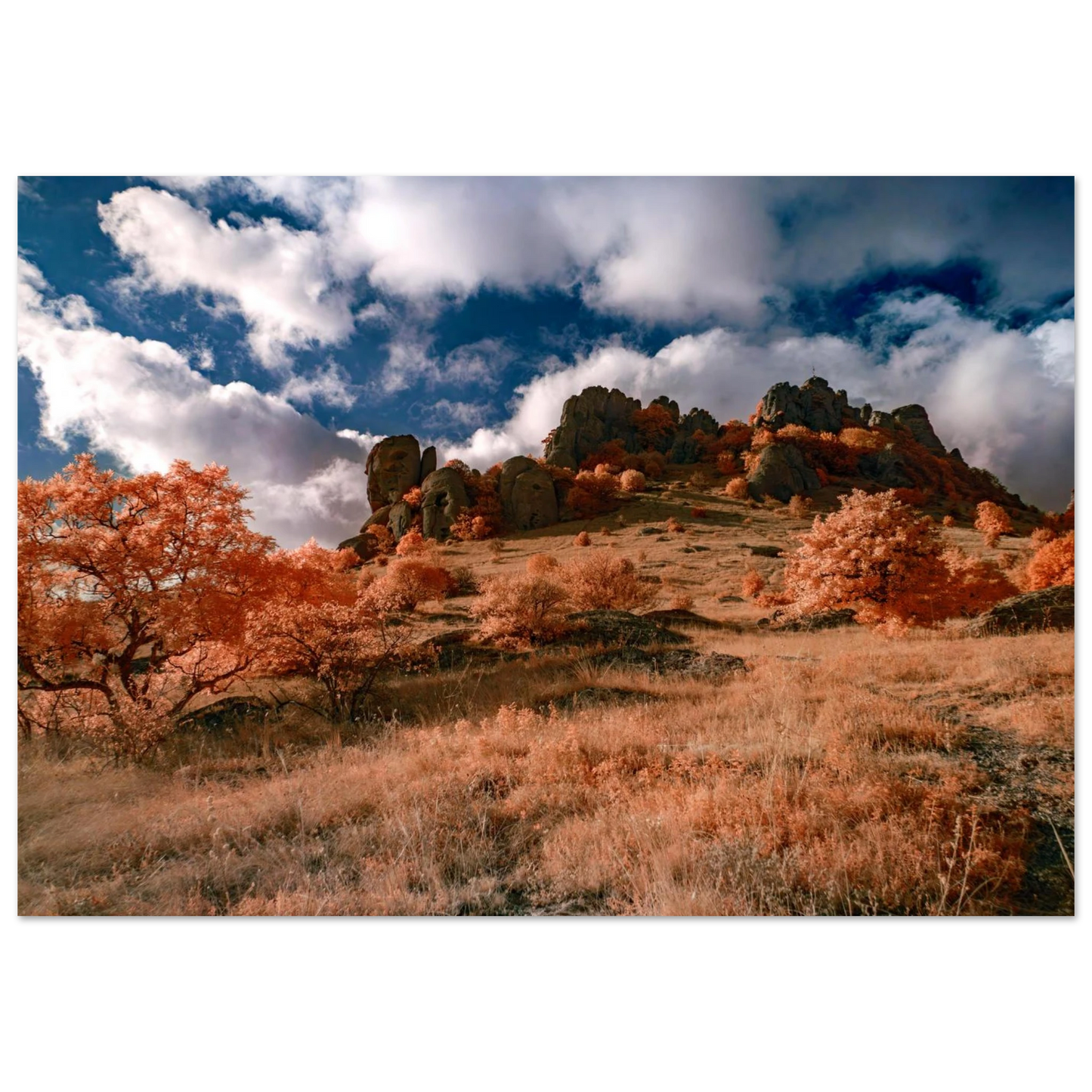 a299eb57-0f79-4824-a35b-23f413a77358