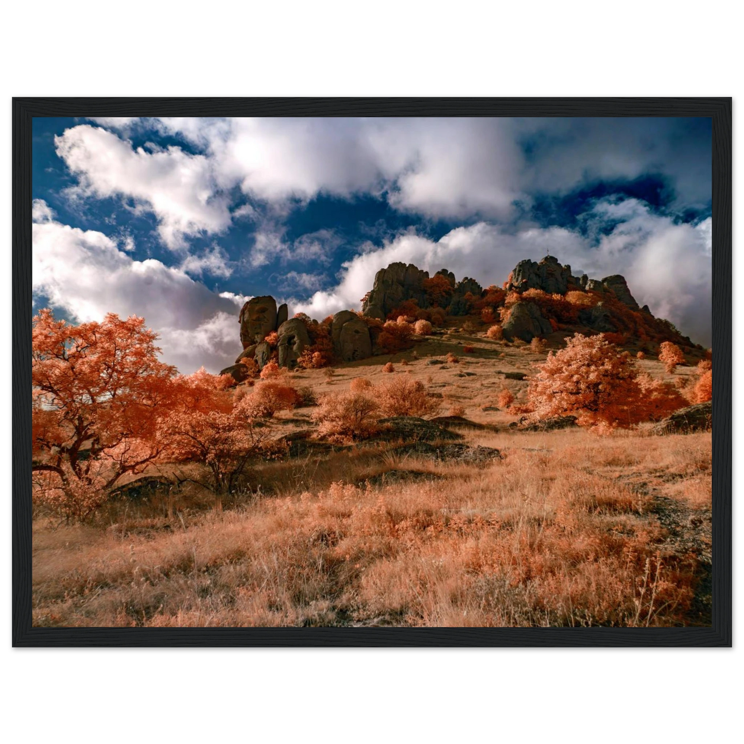 a2bee38d-36d5-4a76-a107-a943e8c010ff