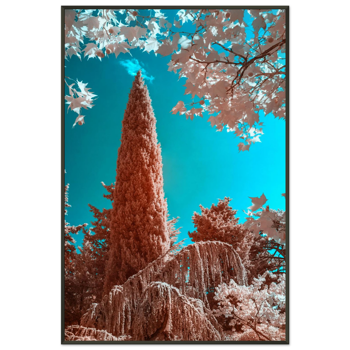 a338a9ce-4563-4eb7-b848-37d001a590c7