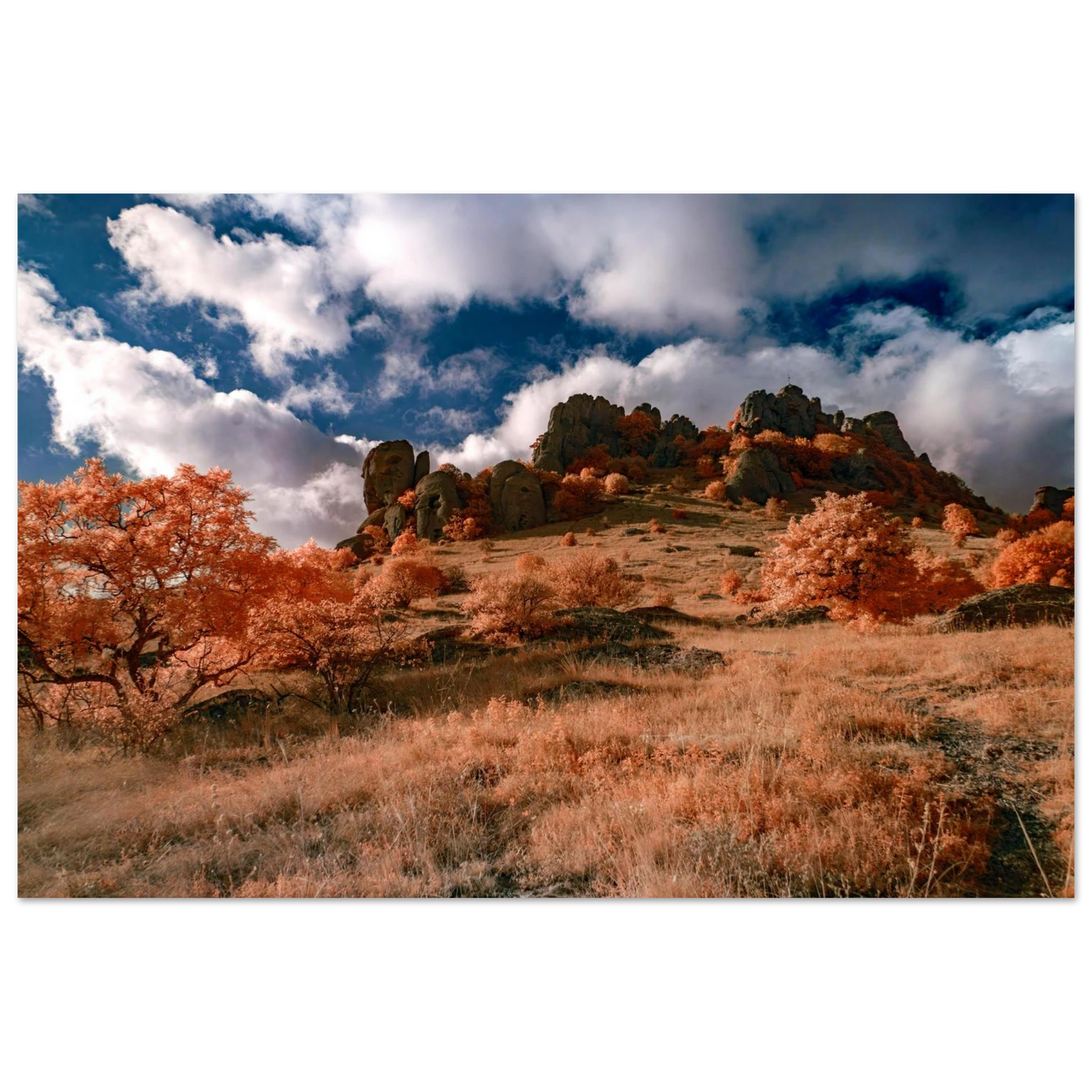 a4792dc6-846b-4c8b-981d-cbf2c5e6cb24