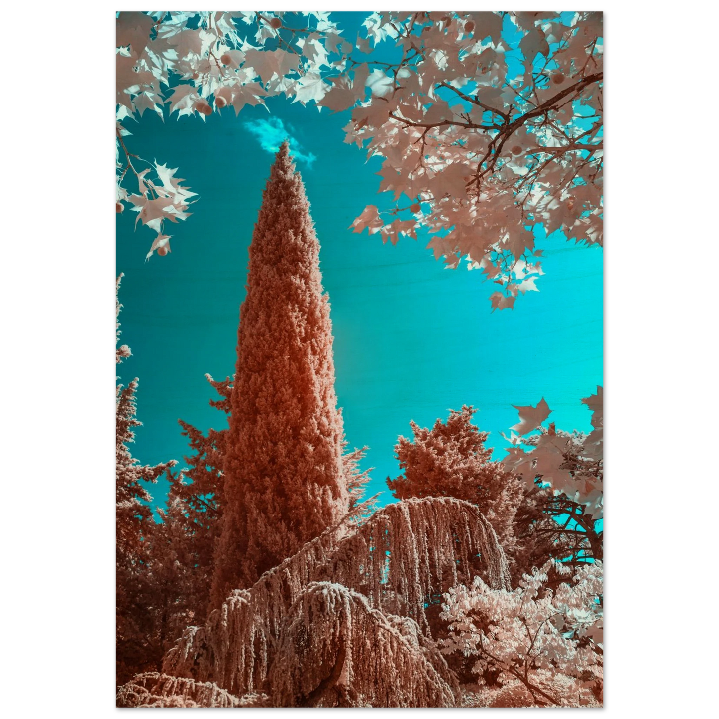 a5126bef-7532-43ae-979e-9a2707581d8a