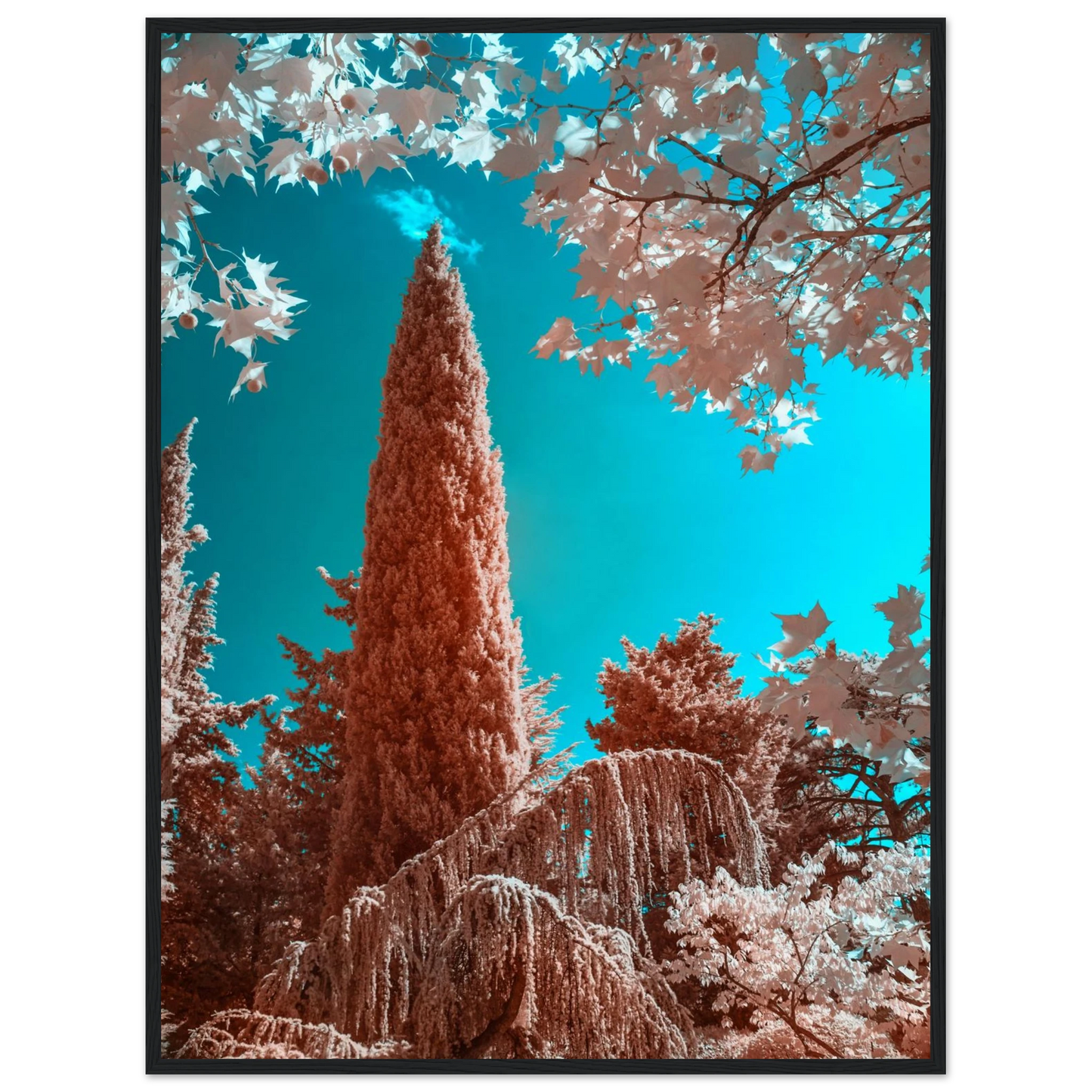 a529cf28-5655-4baf-a1b9-4c1404820ad9