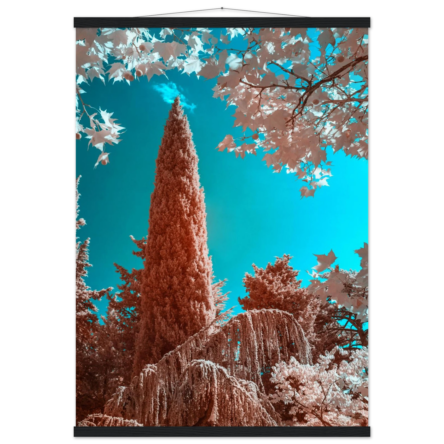 a5fd0e28-4e9c-41be-bd54-25bae92f543a