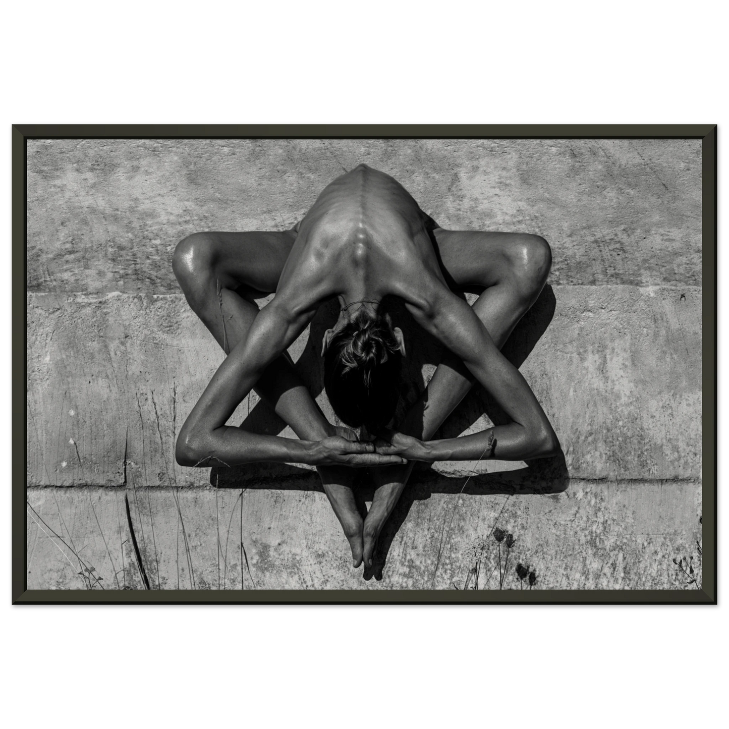 a700d3e5-8c1c-4e50-9b92-833cf73e87f2