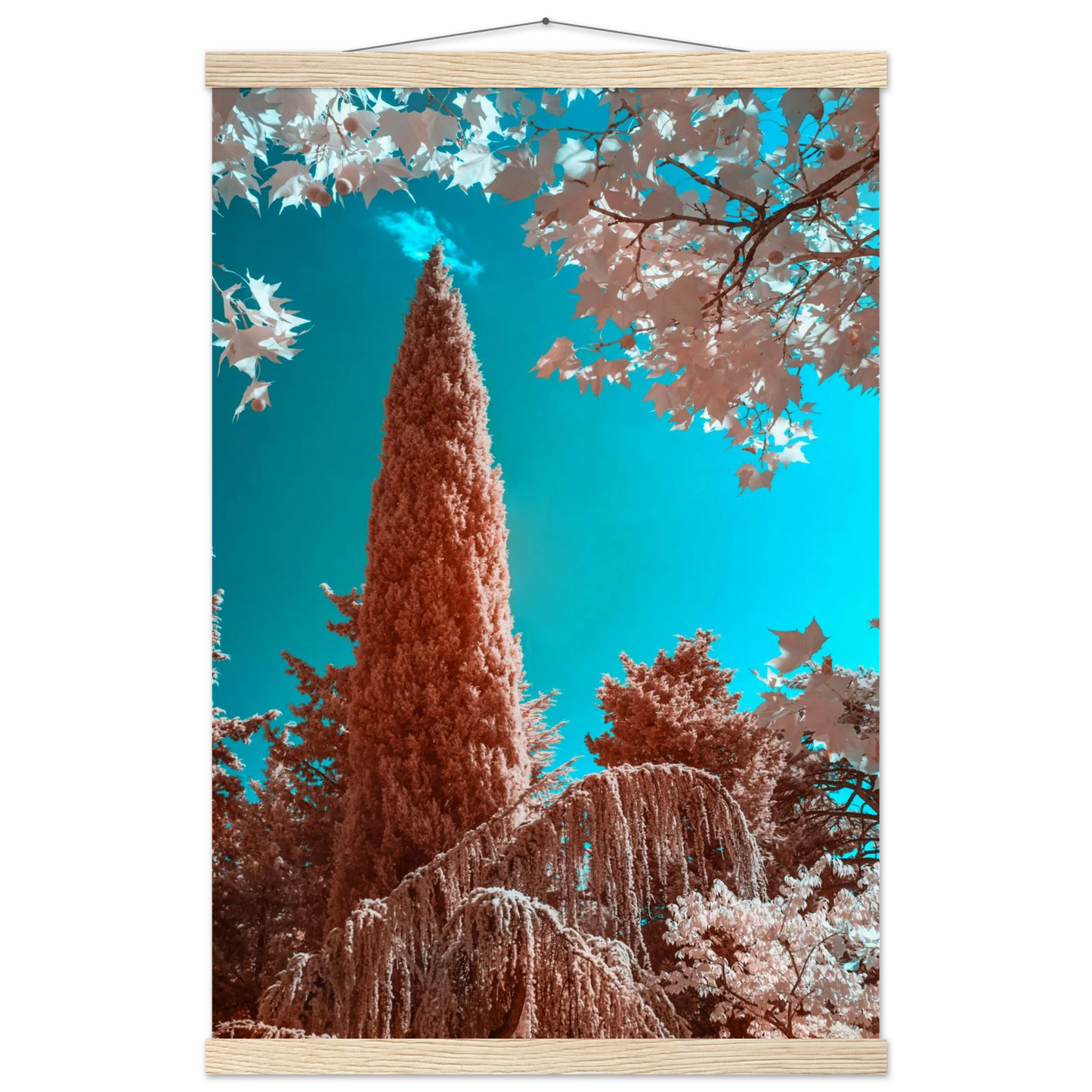 a7995182-ed95-4e90-ab8e-2d328700c98a