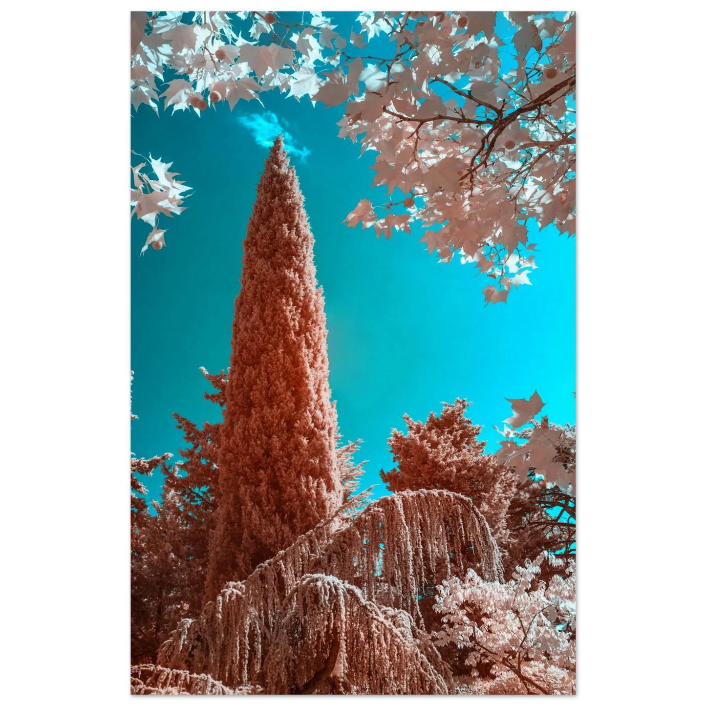 a7b85ec6-d627-456d-8ea4-3cd078916e81