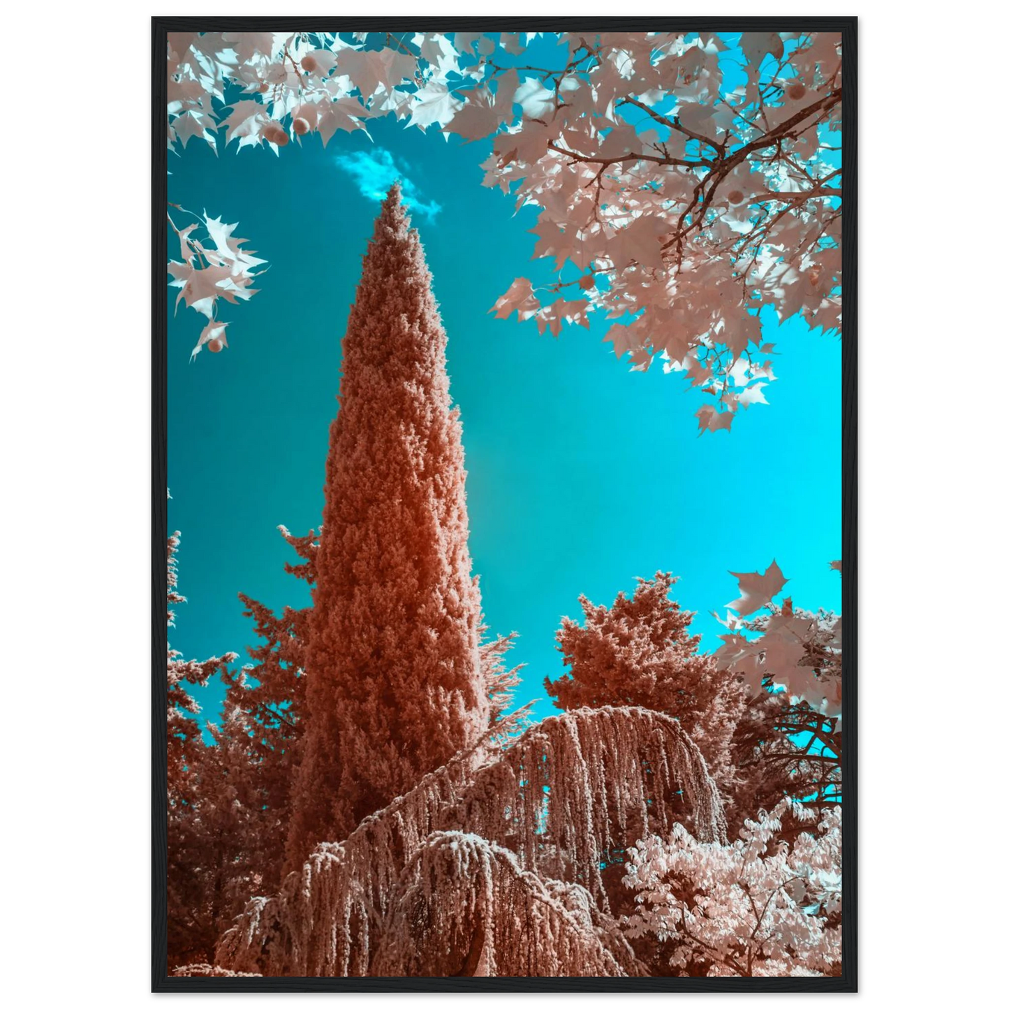 a8049256-86d0-4df0-97f1-4f381b5ebc9d