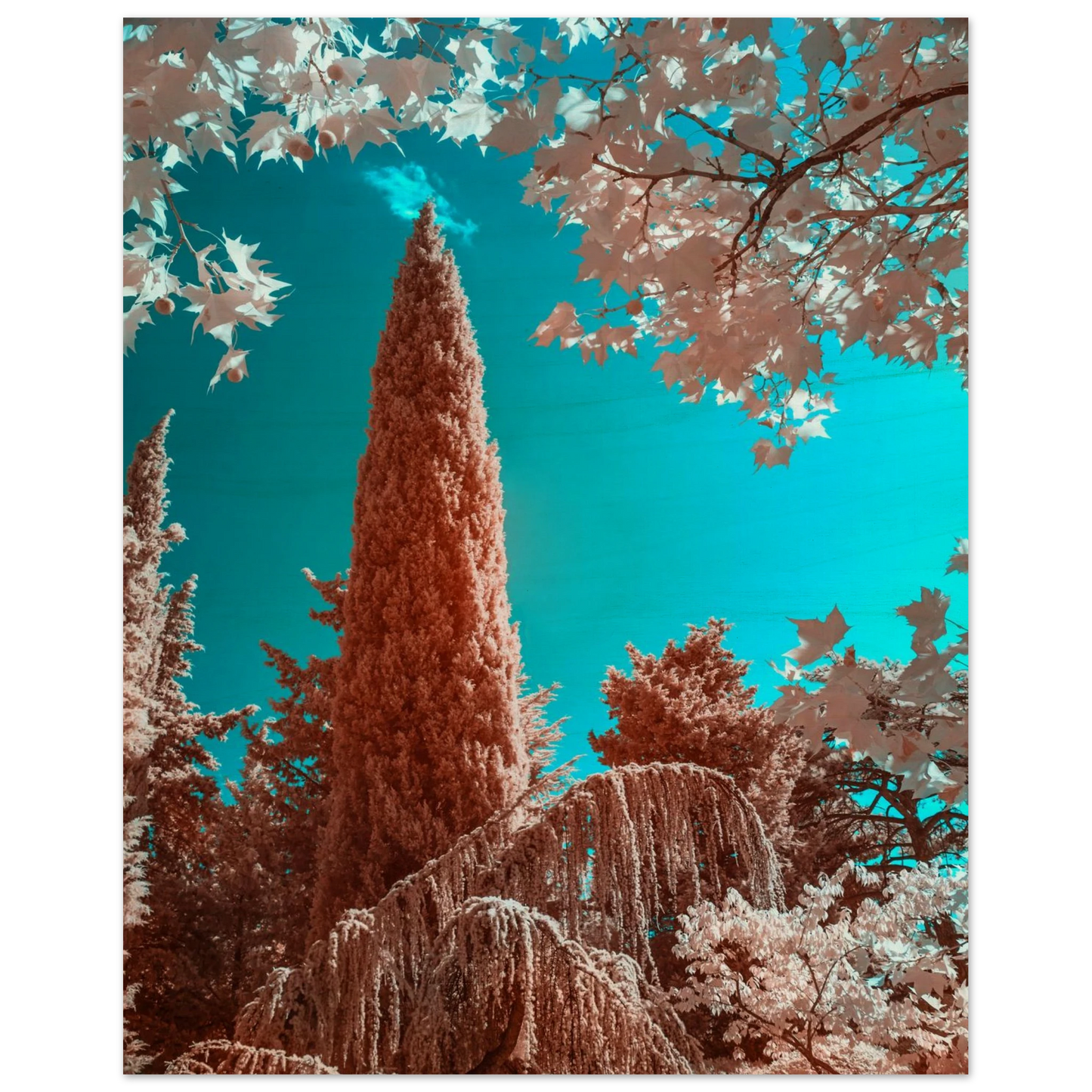 a9750b03-92f3-40c5-a815-77d25e23344b