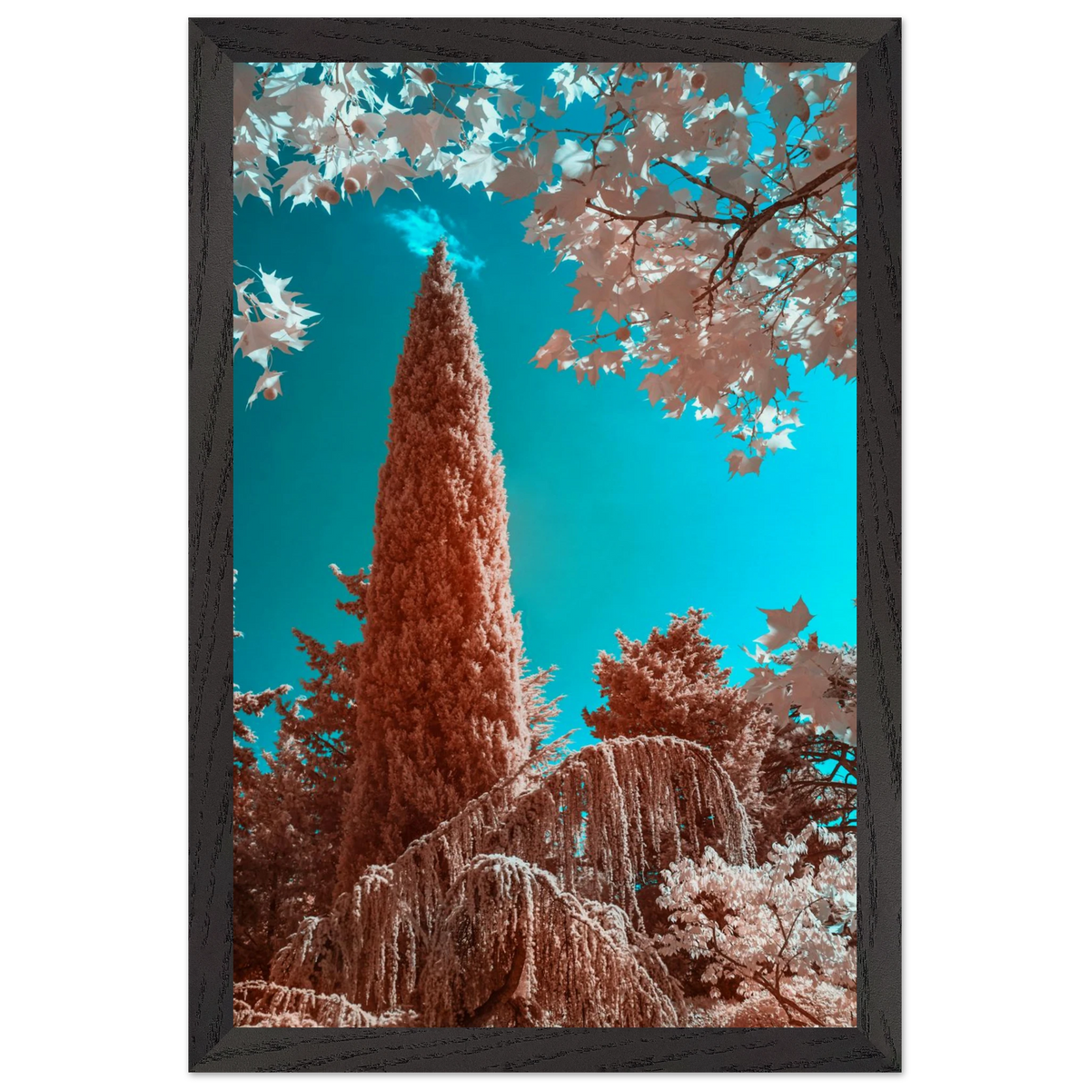 aa354386-f90d-4517-878d-8f7e1dfa22ed