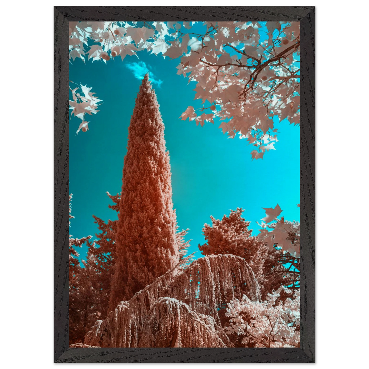 aa52dcdd-8772-4377-a19d-fd0079c4a140