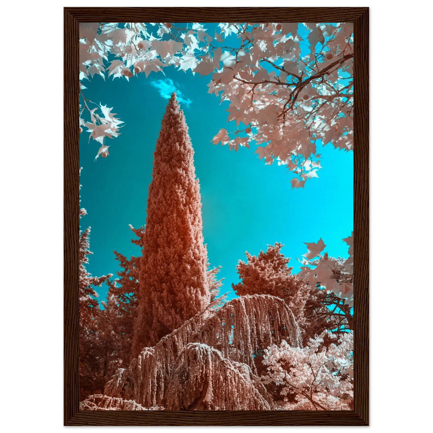 ab167dab-9c29-4f0f-8326-f8e0dff9de74