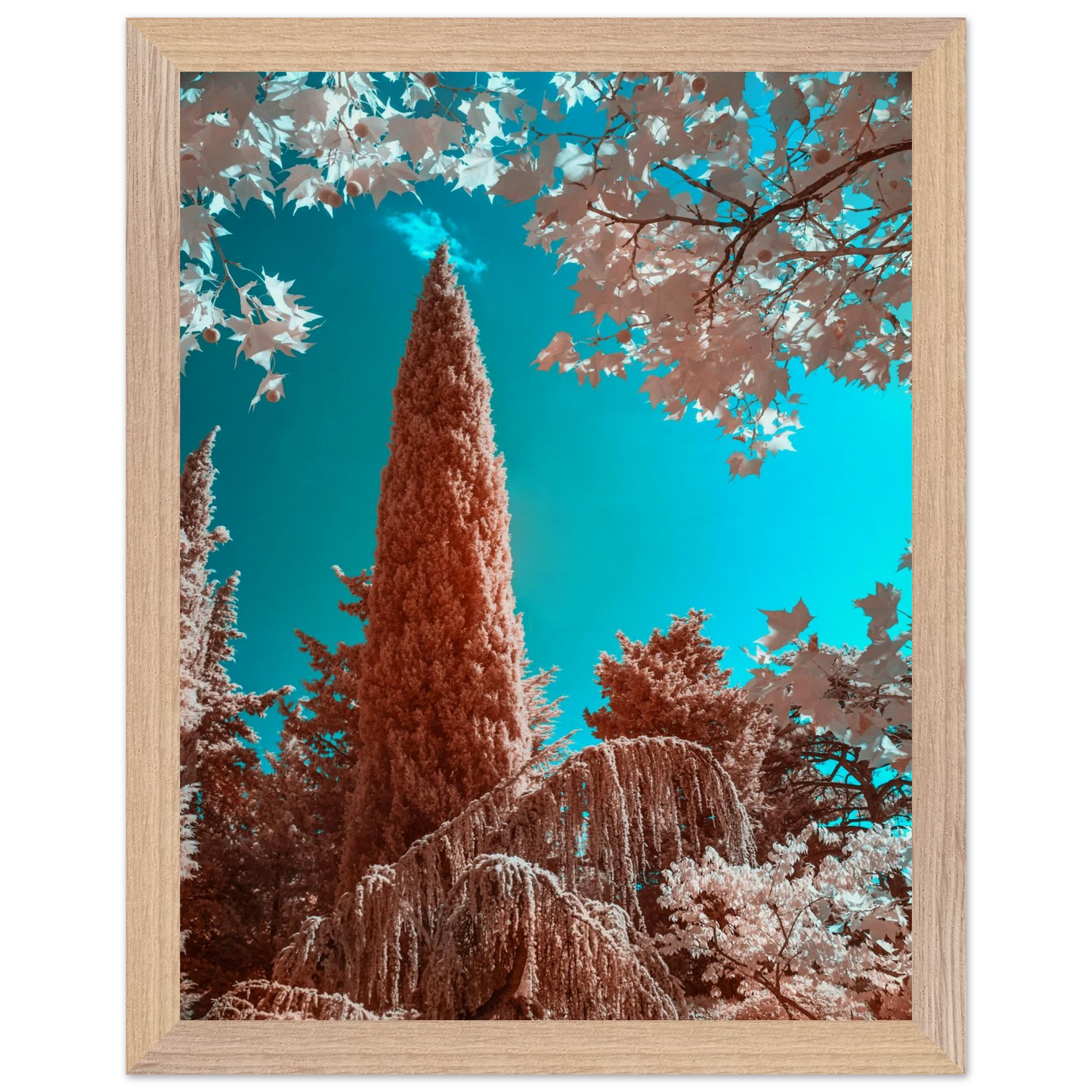 acf341f3-17be-4138-9f26-e00d3d441dcf