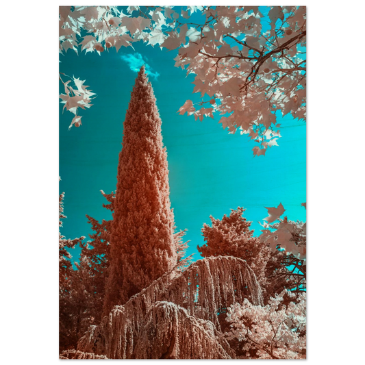 ad699d3c-44bf-40b6-be0c-832c9276e9e8