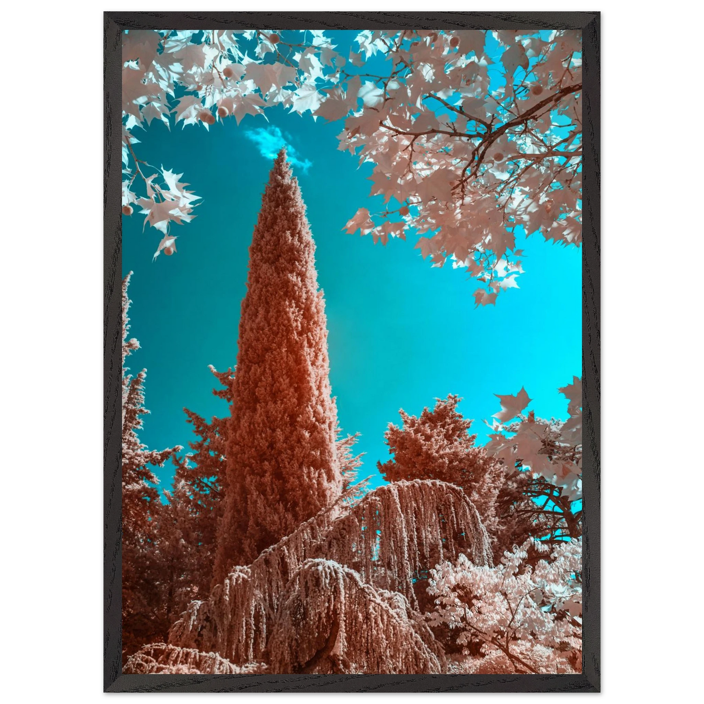 ad972cff-0345-46d8-9497-401e61cf8687