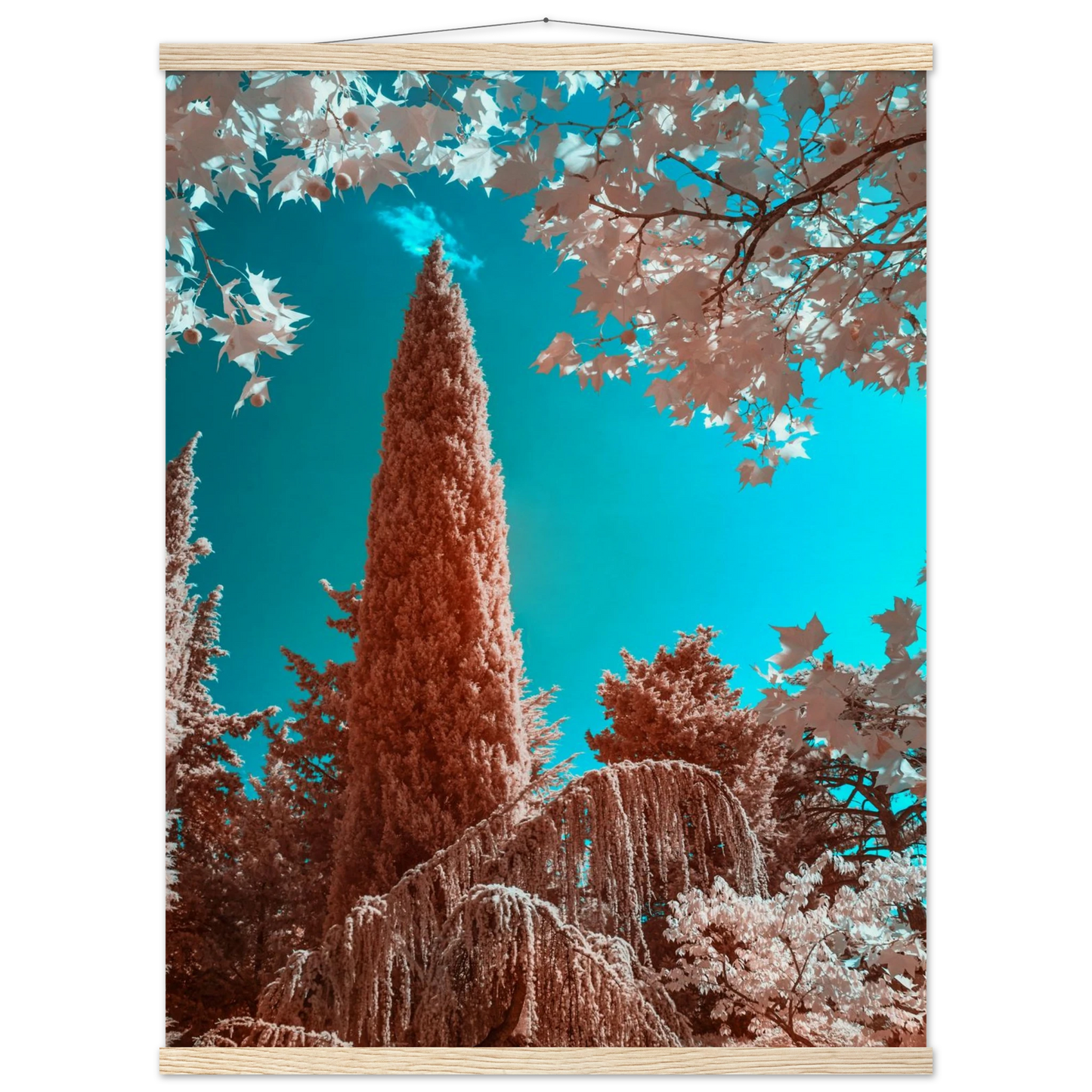 af88b47c-cdbf-491a-bd23-11078c38d06b