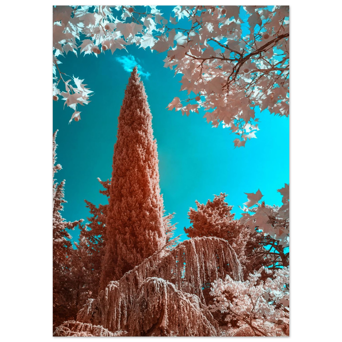 af8ebeda-be93-4f4d-80e9-5c18975d0b9e