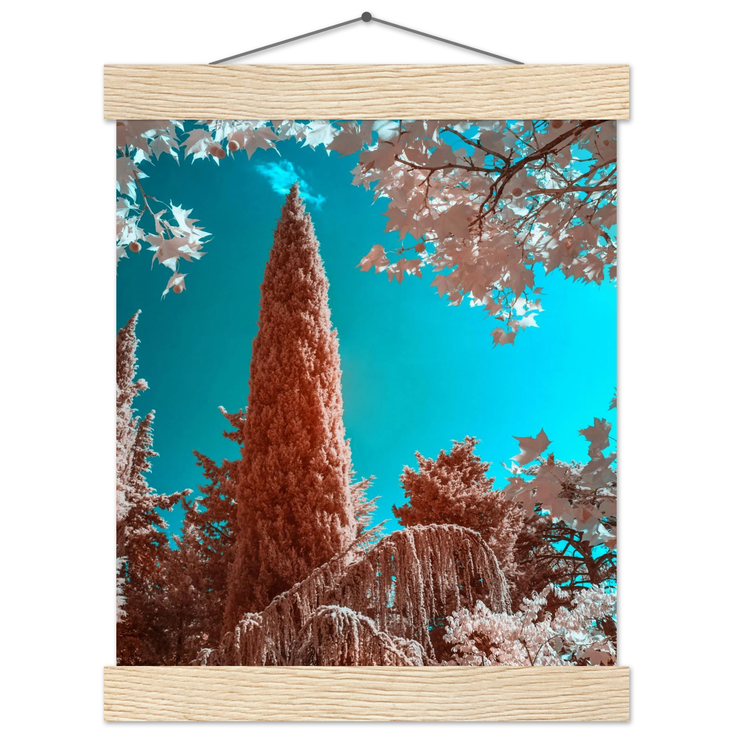 b0357f5d-dea8-47d7-bad1-a59dcdee2050